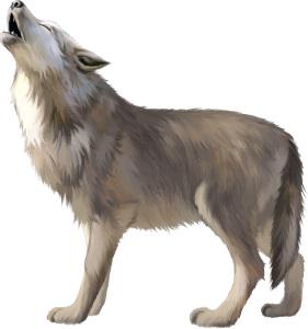 Cry Wolf - Idioms - Meaning & Origin | Know Your Phrase