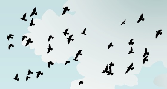 https://knowyourphrase.com/wp-content/uploads/2019/02/birds-flocking-together.jpg