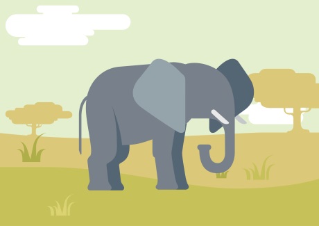 don t forget elephant clipart pictures