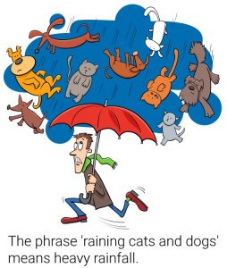 Raining Cats and Dogs - Idiom Meaning, Origin, & Examples