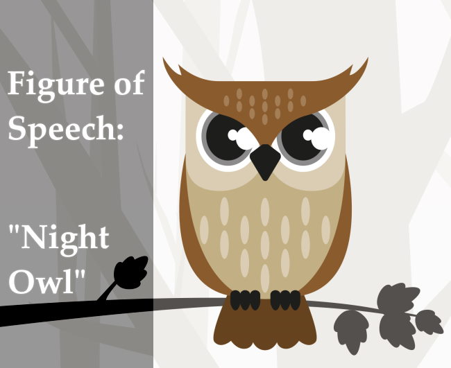 Figure of Speech Example - Night Owl.