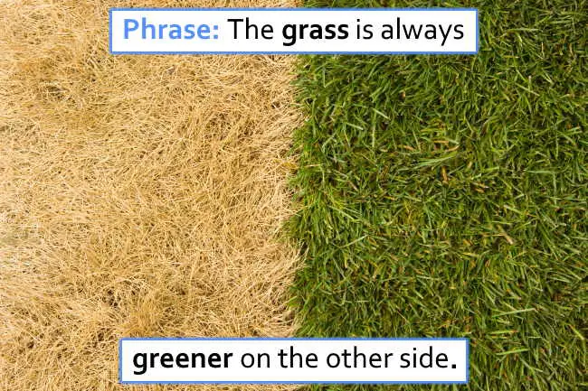 the phrase - grass is always greener on the other side.
