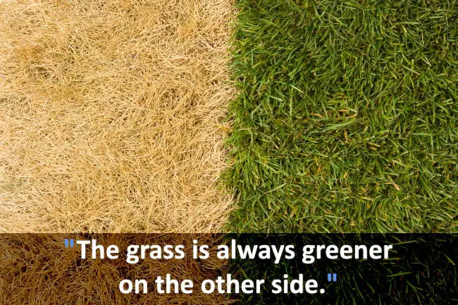 The saying - the grass is always greener.
