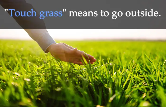 Touch some grass. Touch grass. Touch the grass что значит. Grass meaning.